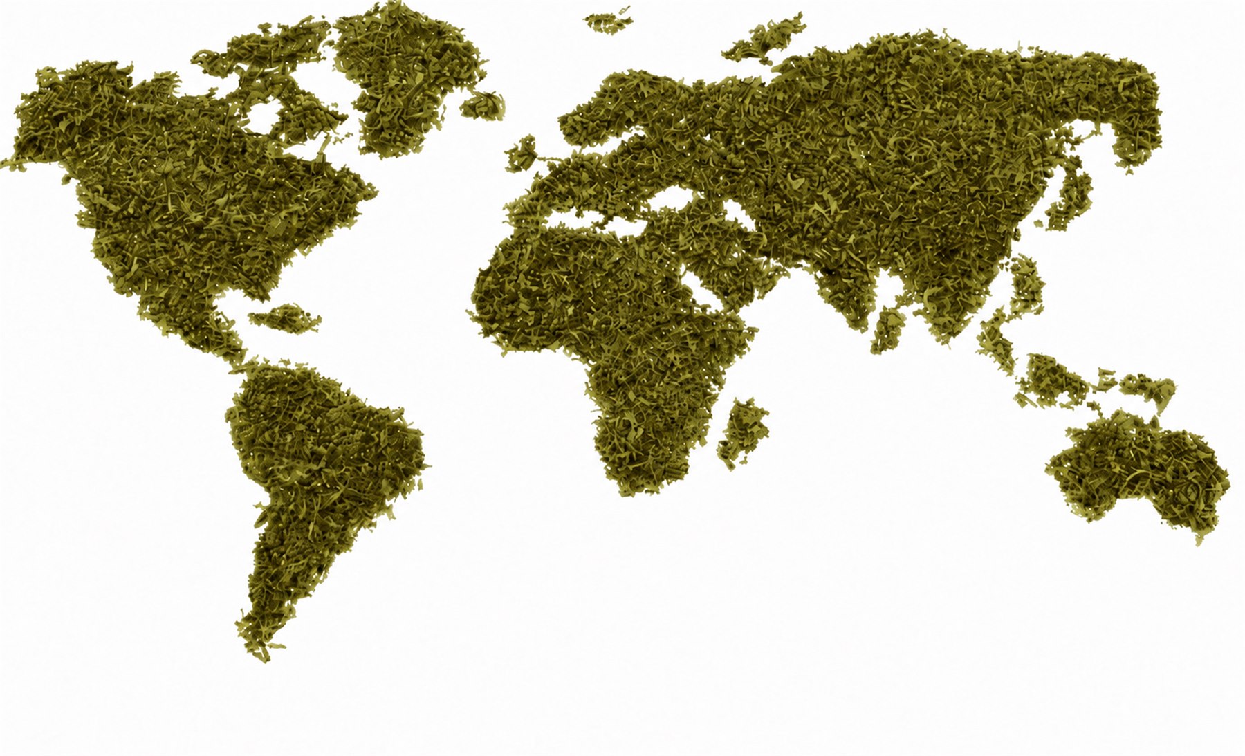 Tea landscapes and ingredients showing where Beta Tea styles come from
