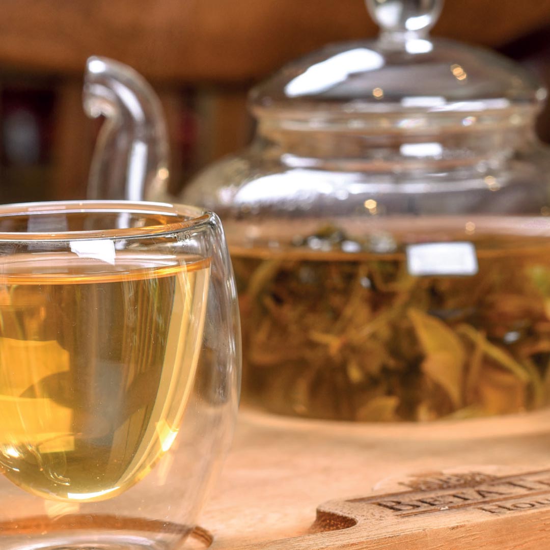 Fresh green tea served among green tea leaves